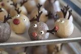 shenanigans (reindeer heads)