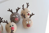 shenanigans (reindeer heads)