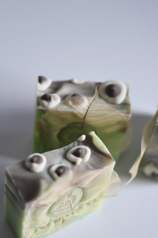 moth